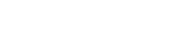 BRONZ logo blanco png